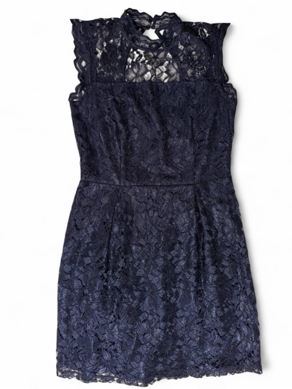 Enfocus Studio Navy Lace Midi Dress with High Lace Yoke